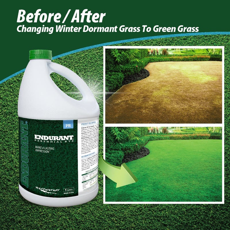 Endurant Turf Colorants - Perennial Rye Spray Green Grass Paint for Lawns - Revives Dry, Patchy Yards - Light Grass Hue - Easy to Use, Concentrated Turf Grass Dye - Covers Approx 10,000 Sq Ft - 1 Gal - Image 2